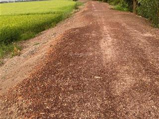 Bán đất tại tân thạnh đông, củ chi, giá ưu đãi 4,5 tỷ, 5000 m2