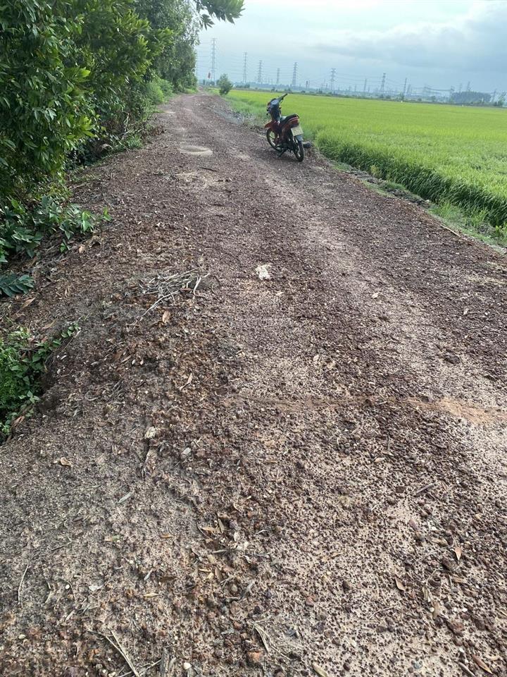 Bán đất tại tân thạnh đông, củ chi, giá ưu đãi 4,5 tỷ, 5000 m2