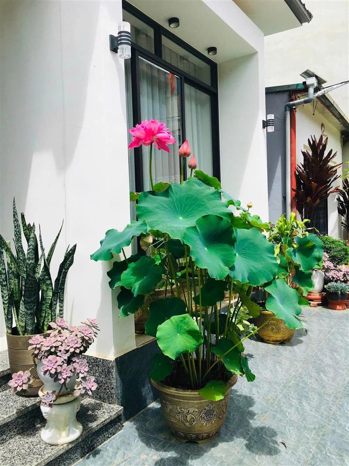 Bán đất đấu giá vạn phúc hà đông hà nội phân lô ô tô, kinh doanh xây tòa đẹp long lanh 0904 666 ***