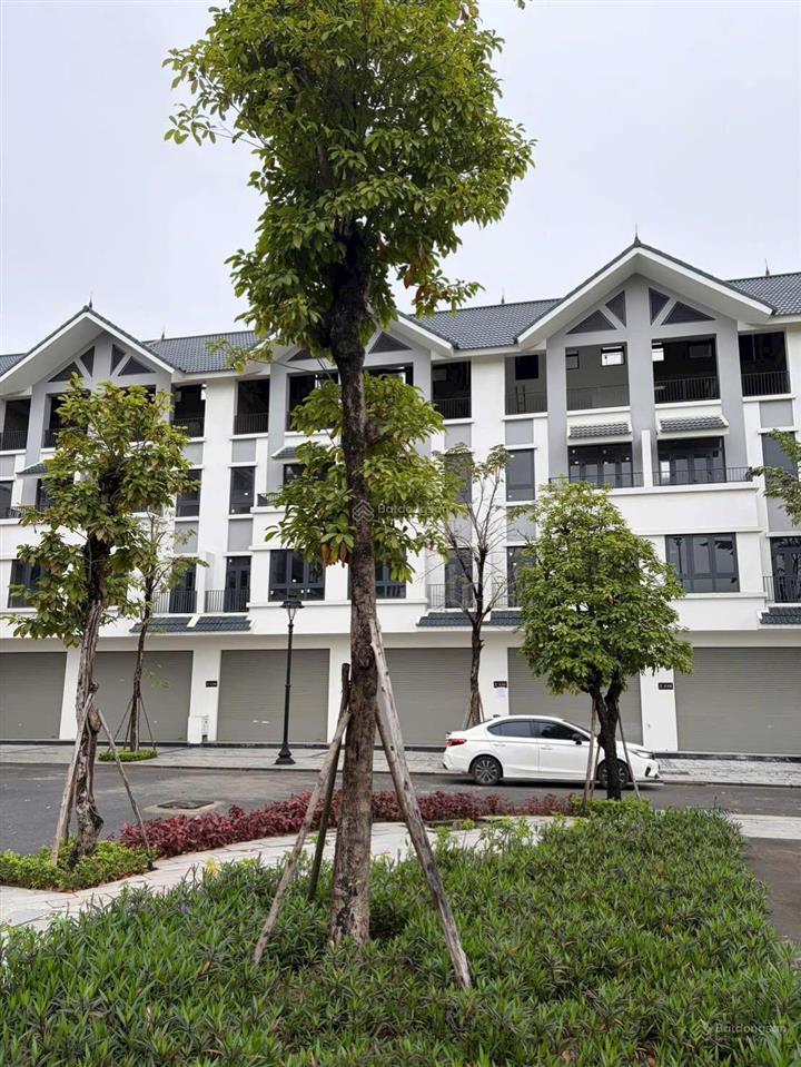 Căn view công viên 100m2  đông nam, gần hồ & trường quốc tế vị trí đẹp khu. giá 15 tỷ