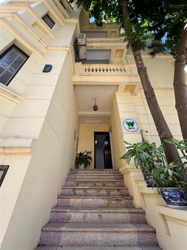 Cho thuê tầng 1, tầng 2 nhà d khu biệt thự thành công villas làm văn phòng
