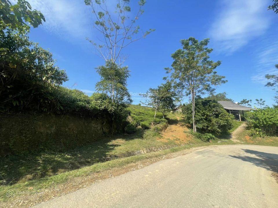 Chính chủ bán 6,5 ha đất có 3500m2 thổ cư tại vân hồ