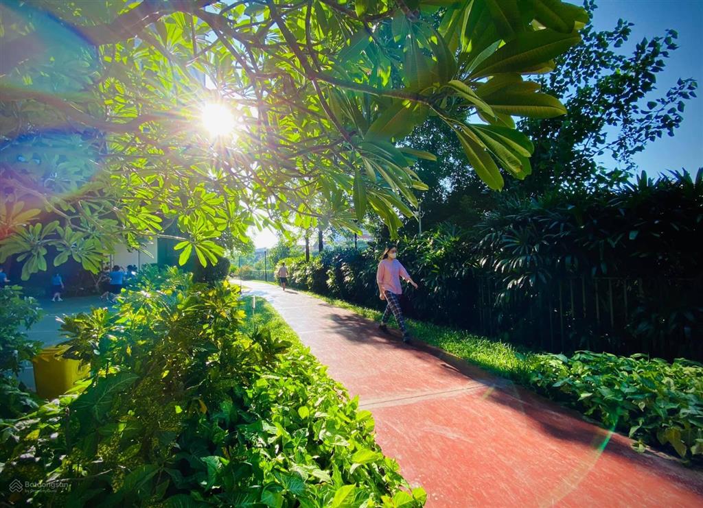 Cho thuê căn hộ mulberry lane giá tốt