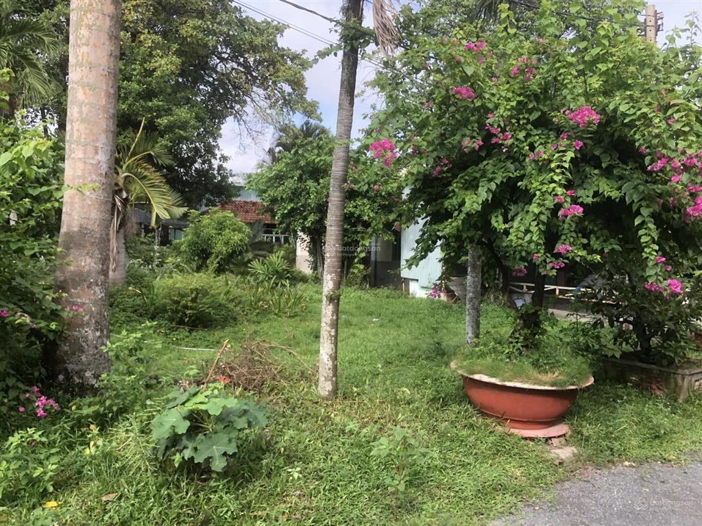 Chủ cần bán đất lớn 39x55m mt hai bà trưng đông hòa, dĩ an, bình dương