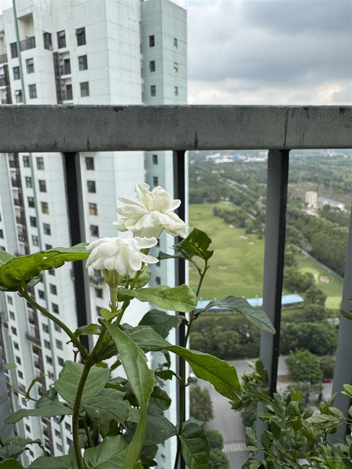 Chính chủ bán căn 3208 tòa lake 2 view golf+hồ thiên nga ban công rộng 77,5m2, 2n2wc giá tốt có tl