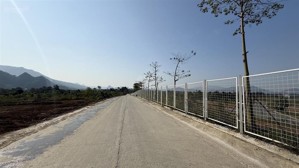 Bán đất tại cư yên, 5,25 tỷ, 585,6m2, mặt tiền siêu đẹp