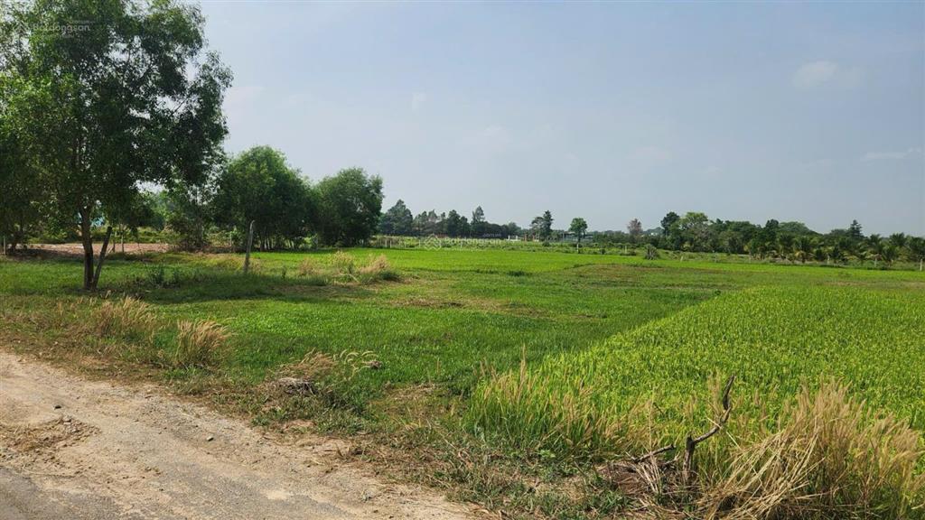 Bán đất mặt tiền nguyễn thị náo, củ chi đã lên thổ cư 3800m2