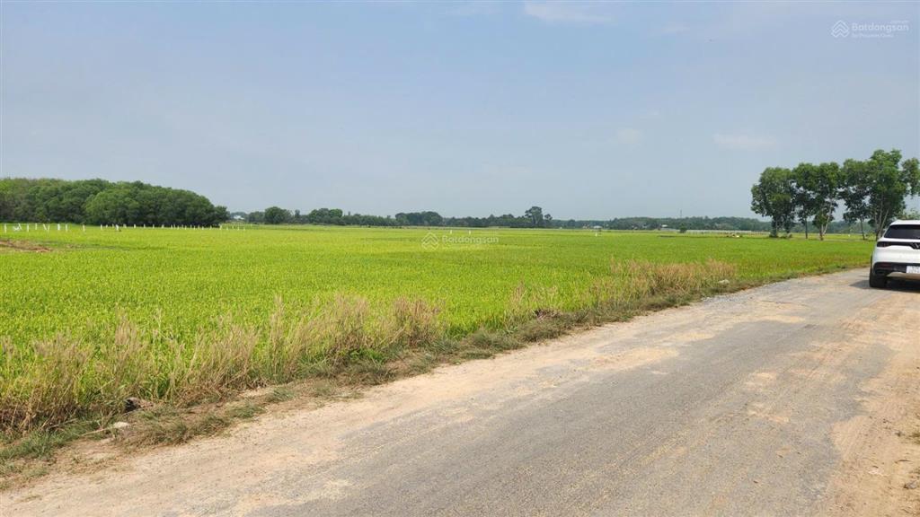 Bán đất mặt tiền nguyễn thị náo, củ chi đã lên thổ cư 3800m2