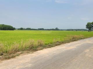 Bán đất mặt tiền nguyễn thị náo, củ chi đã lên thổ cư 3800m2