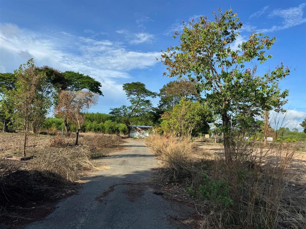 Bán nhanh đất khu xdhn  lk3  ô 29