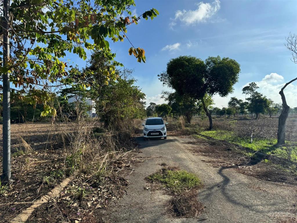 Bán nhanh đất khu xdhn  lk3  ô 29