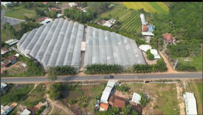 Chính chủ bán đất, có trang trại mặt tiền đường lớn hl2, tx trảng bàng, tây ninh giáp tphcm