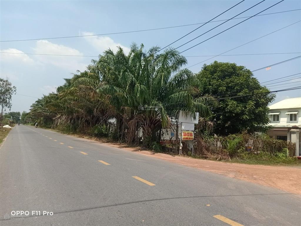 Bán lô đất 2 mặt tiền đường lớn hl2, tx trảng bàng, tây ninh giáp tphcm, đường phụ bên hông 8m