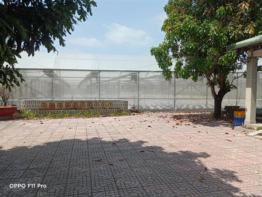 Bán lô đất 2 mặt tiền đường lớn hl2, tx trảng bàng, tây ninh giáp tphcm, đường phụ bên hông 8m