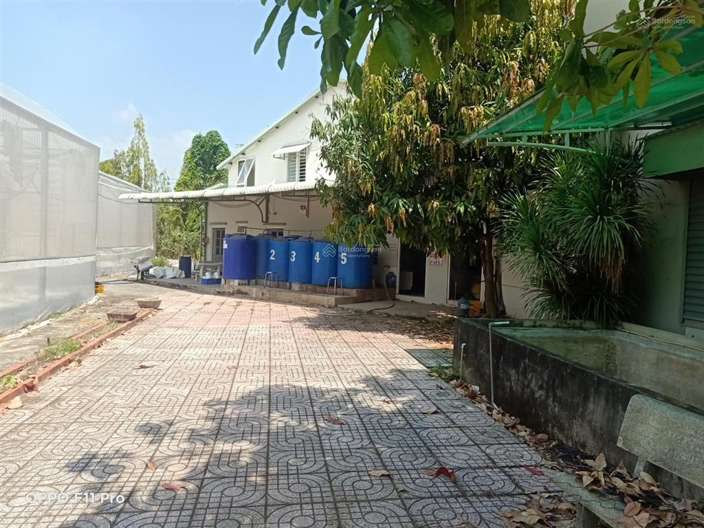 Bán lô đất 2 mặt tiền đường lớn hl2, tx trảng bàng, tây ninh giáp tphcm, đường phụ bên hông 8m