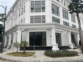 Cho thuê căn góc louis hoàng mai có thang máy xịn 5 tầng
