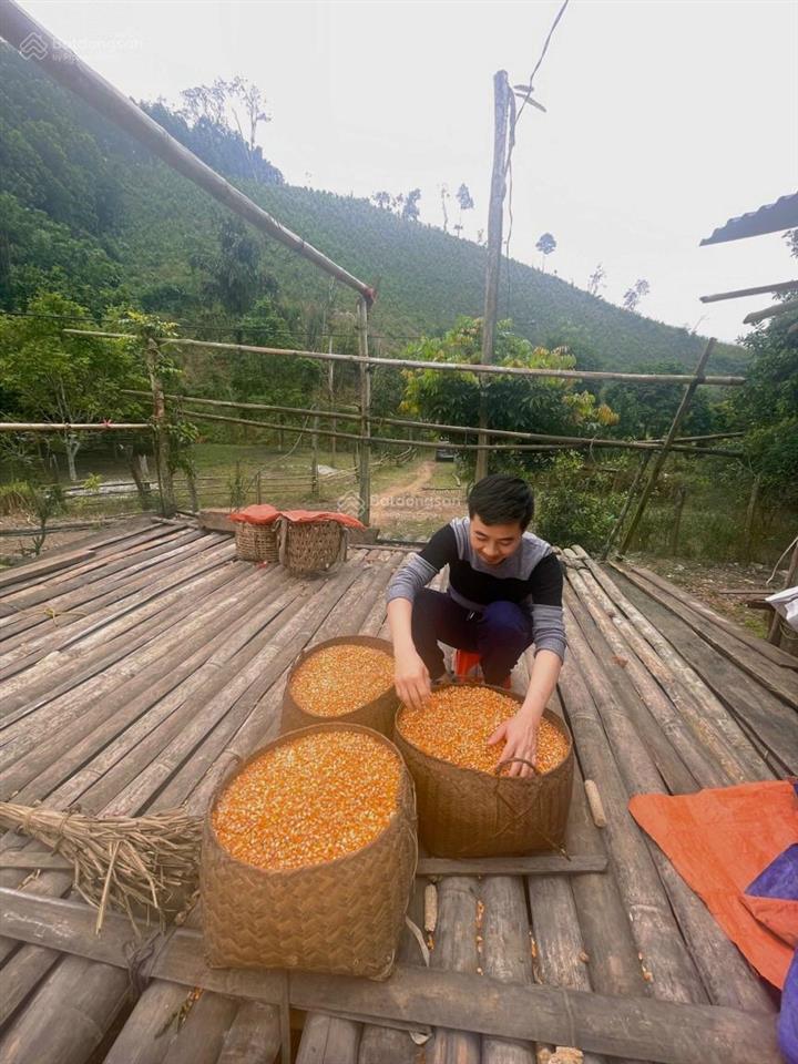 Chính chủ cần bán đất trang trại, tổng 5 sào. điện nước và đã xây quây. có nhà cấp 4 đẹp