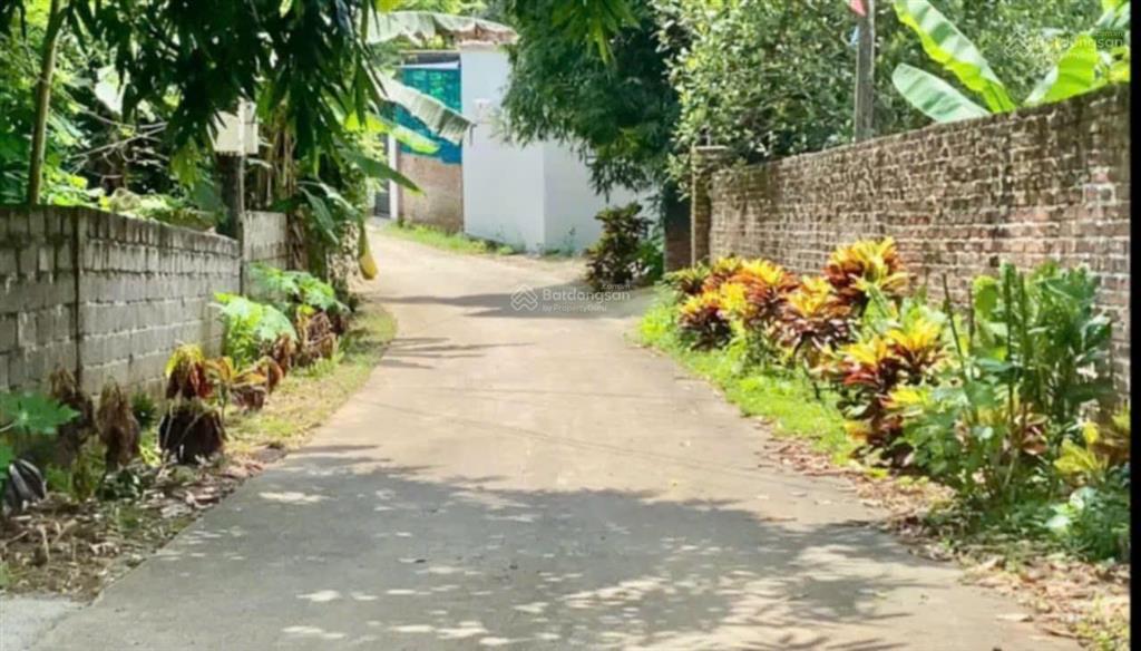 Chính chủ cần bán đất trang trại, tổng 5 sào. điện nước và đã xây quây. có nhà cấp 4 đẹp