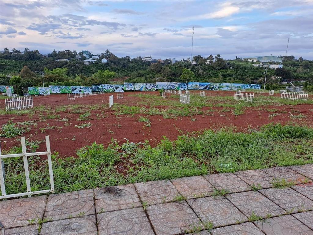Bán đất lâm đồng nghỉ dưỡng view đẹp đồi phẳng 100% thổ cư