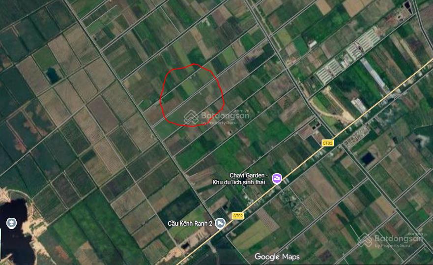 Bán đất gần đường n2 xã thạnh lợi tỉnh tây ninh