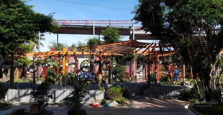 Bán lô đất ở nguyễn du, cam phúc bắc, cam ranh, khánh hòa (ngang 14m7 siêu hiếm)