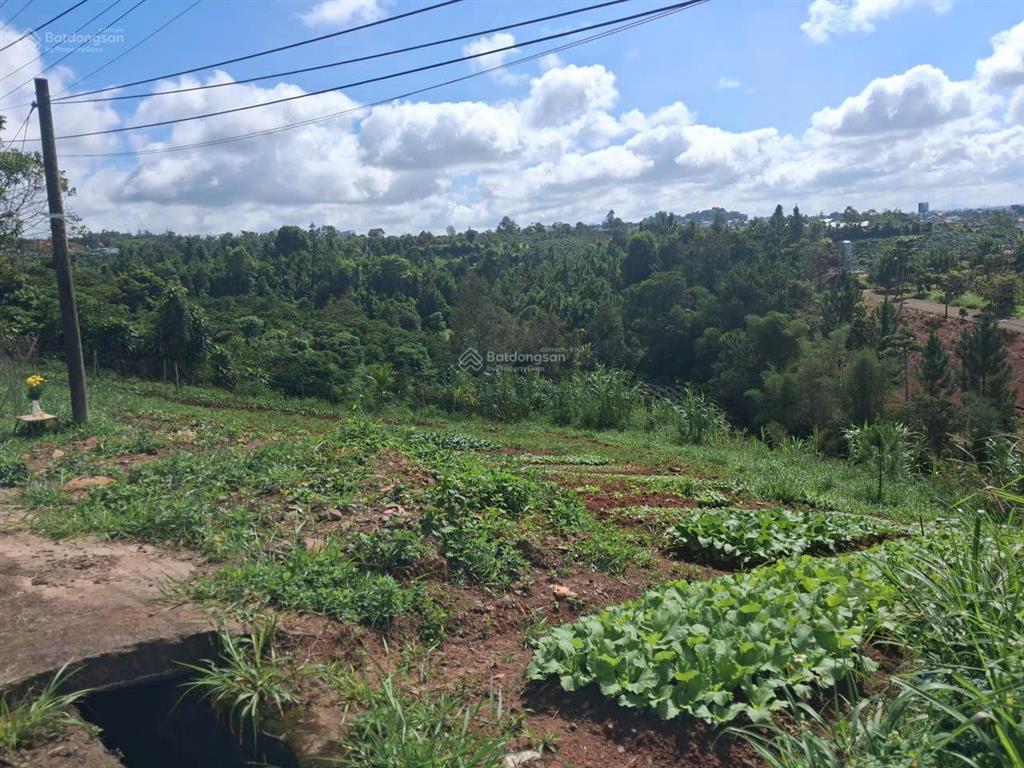 Bán đất lộc châu bảo lộc 2 lô mặt tiền lê thị riêng, view thung lũng, đất ở sẵn