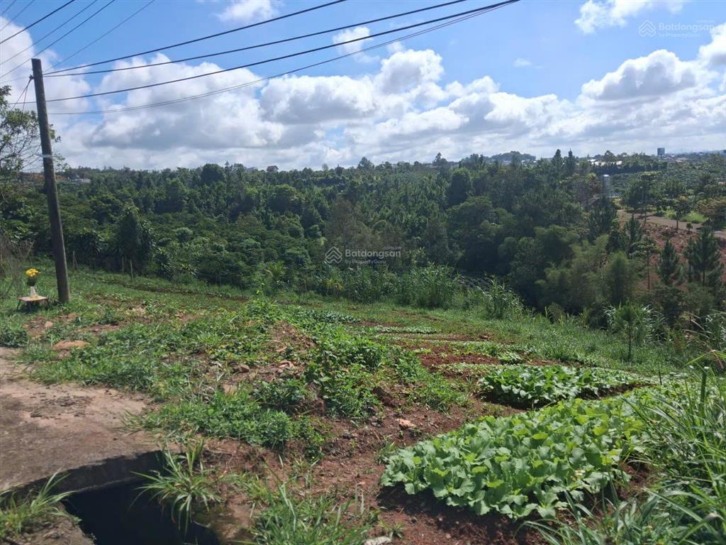 Bán đất lộc châu bảo lộc 2 lô mặt tiền lê thị riêng, view thung lũng, đất ở sẵn