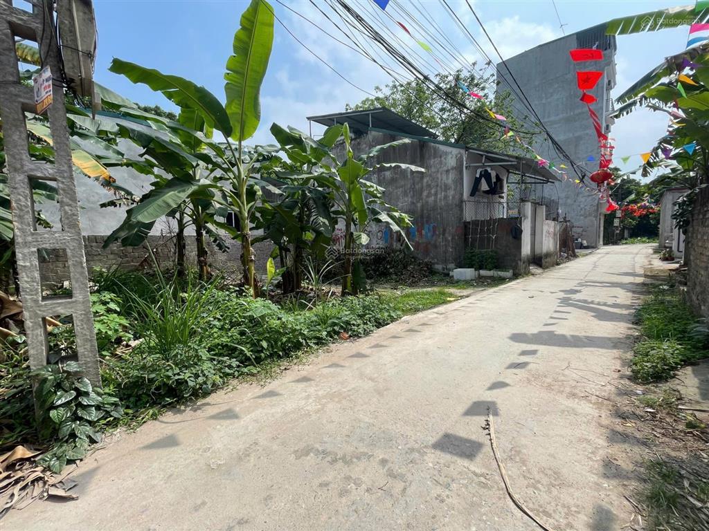 Bán đất đồng mai  hà đông dt 60m2 | 25tr/m2 | phường đồng mai, quận hà đông, hà nội