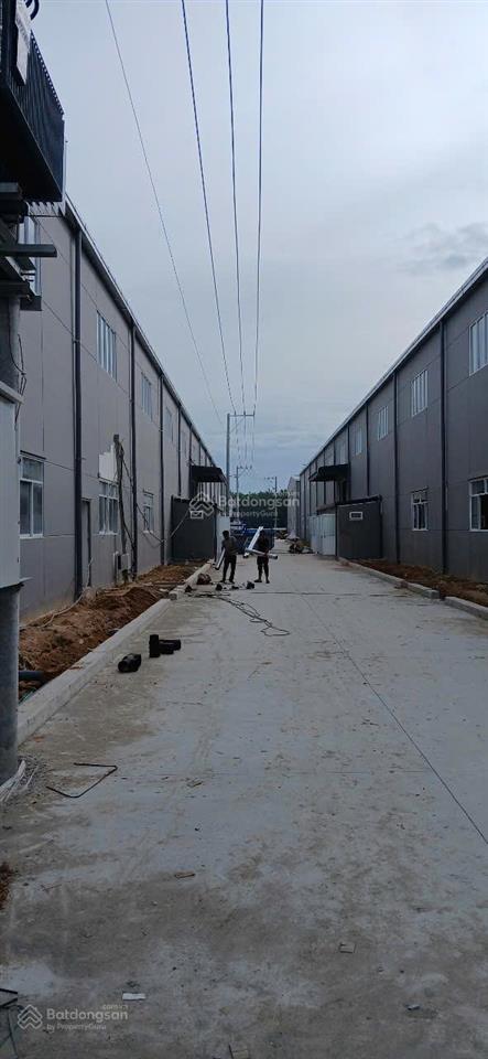 Cho thuê nhà xưởng 27.000m2, kế kcn phú an thạnh, lương bình, bến lức, có cắt lẻ từ 2150m2  1ha