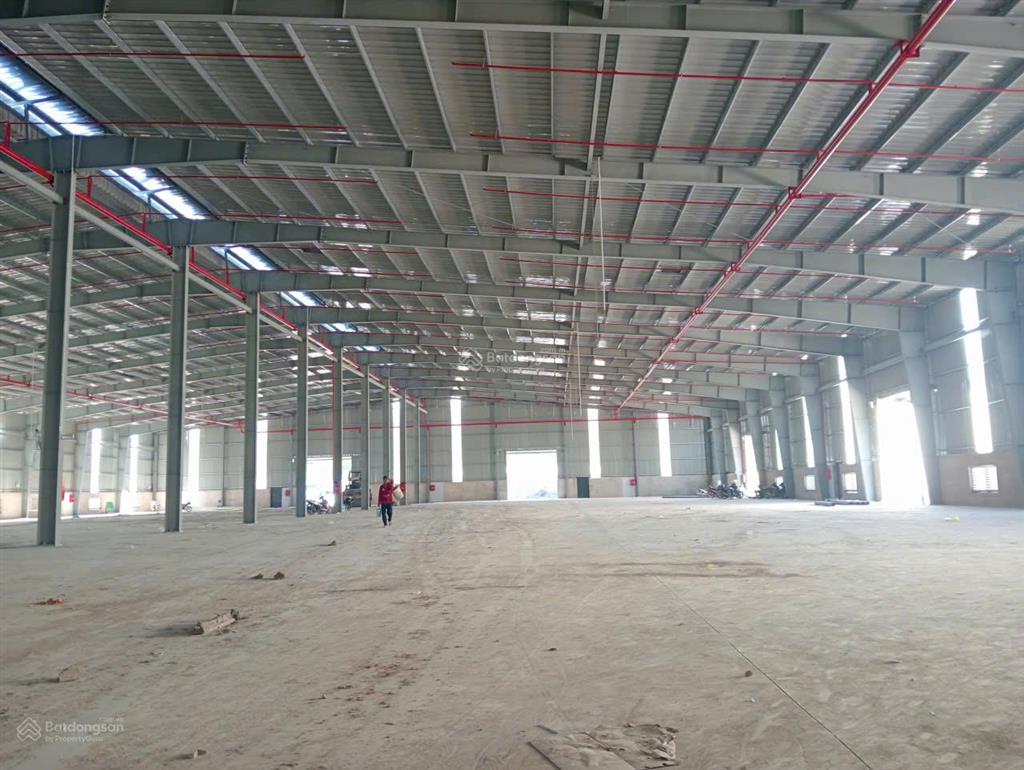 Cho thuê nhà xưởng sát kcn thuận đạo bến lức, long cang, dt 2100m1, 2850m2, 3670m2, 45000m2, 6000m2