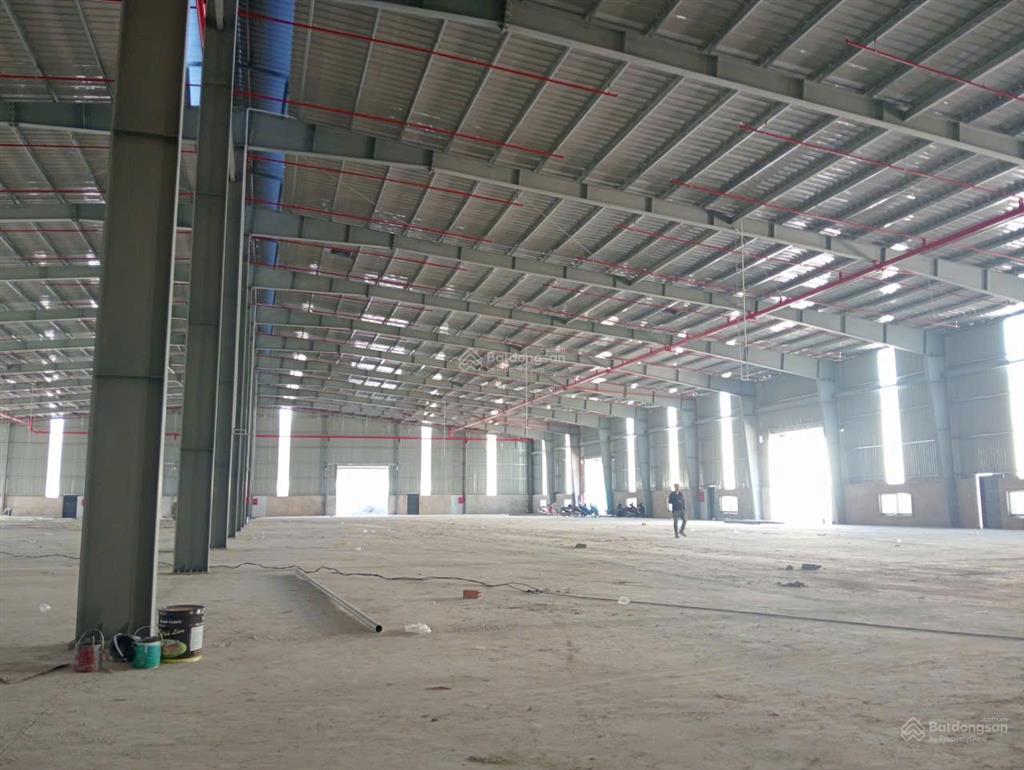 Cho thuê nhà xưởng sát kcn thuận đạo bến lức, long cang, dt 2100m1, 2850m2, 3670m2, 45000m2, 6000m2