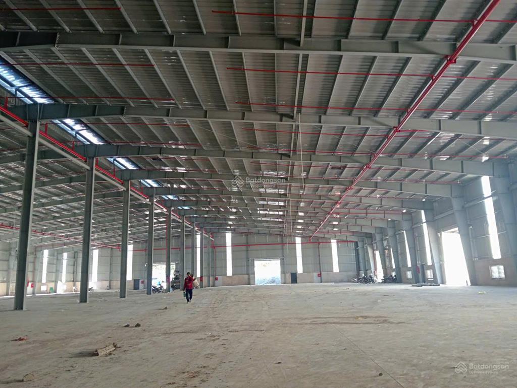 Cho thuê nhà xưởng sát kcn thuận đạo bến lức, long cang, dt 2100m1, 2850m2, 3670m2, 45000m2, 6000m2