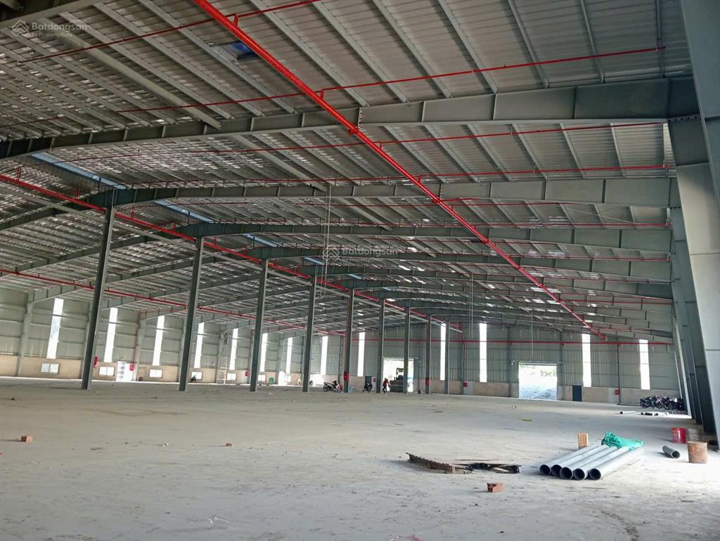 Cho thuê nhà xưởng sát kcn thuận đạo bến lức, long cang, dt 2100m1, 2850m2, 3670m2, 45000m2, 6000m2