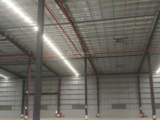 Nhà xưởng tổng 26.000m2, cắt lẻ cho thuê từ 2500m2  kế kcn thuận đạo, vĩnh lộc, kcn bến lức