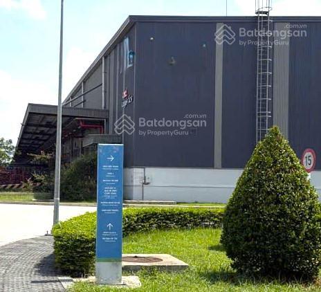 Nhà xưởng tổng 26.000m2, cắt lẻ cho thuê từ 2500m2  kế kcn thuận đạo, vĩnh lộc, kcn bến lức