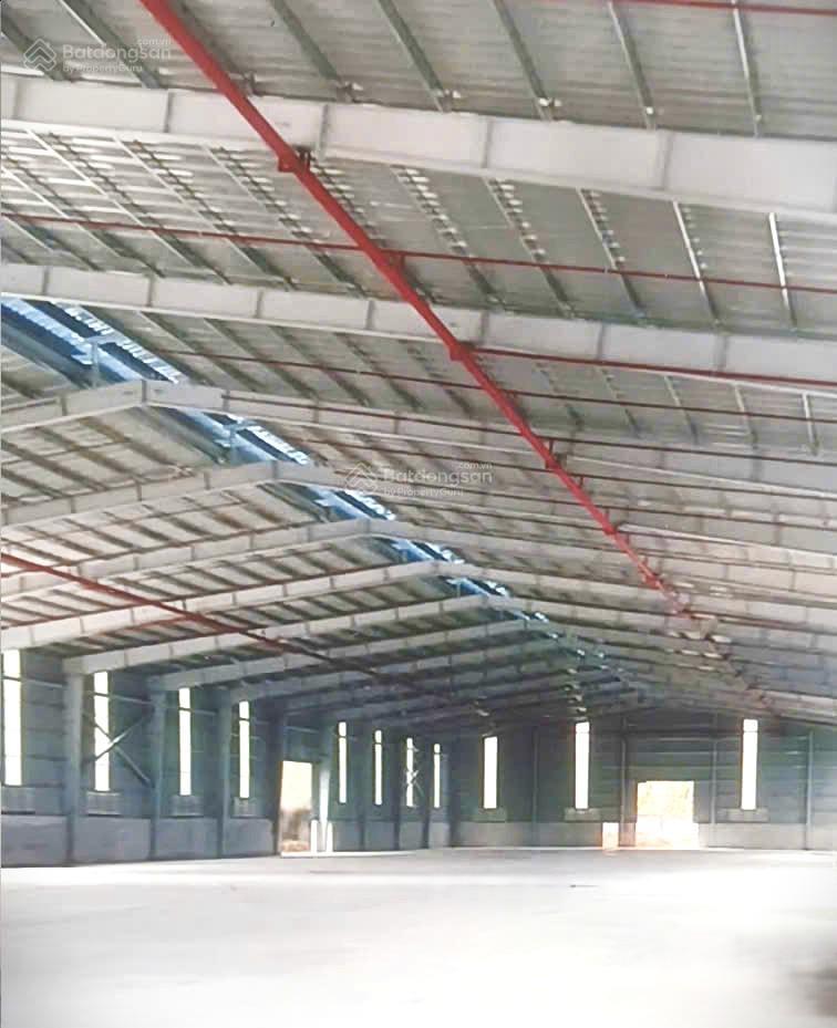Kho xưởng tổng 26.300m2, chia lẻ cho thuê từ 2000m2  2ha, tại kcn hiệp phước, nhà bè