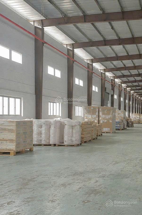 Nhà kho xưởng tổng 19.870m2, cắt lẻ cho thuê 2000m2  1,5ha tại kcn hiệp phước nhà bè hcm