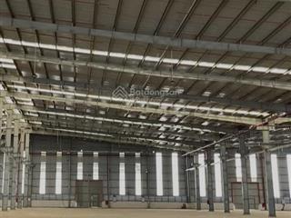 Tổng kv và nhà xưởng 24.000m2, cắt lẻ cho thuê từ 2500m2  1ha, tại cần đước, ccn kiến thành
