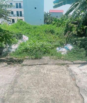 Bán đất mai nội, mai đình  lô 120m2 full thổ cư  đường thông ô tô, sổ sẵn nhỉnh 3 tỷ