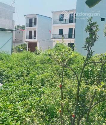 Bán đất mai nội, mai đình  lô 120m2 full thổ cư  đường thông ô tô, sổ sẵn nhỉnh 3 tỷ