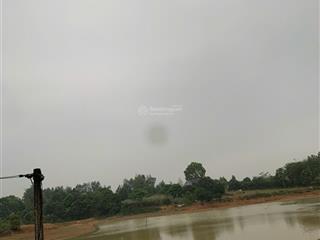 Chính chủ gửi bán, 2396m2 có 1258m2 thổ cư tại lạc sơn, hòa bình