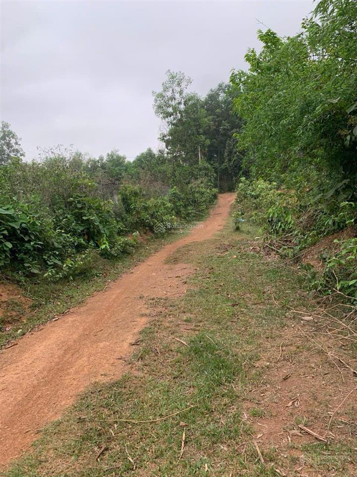 Chính chủ gửi bán, 2396m2 có 1258m2 thổ cư tại lạc sơn, hòa bình