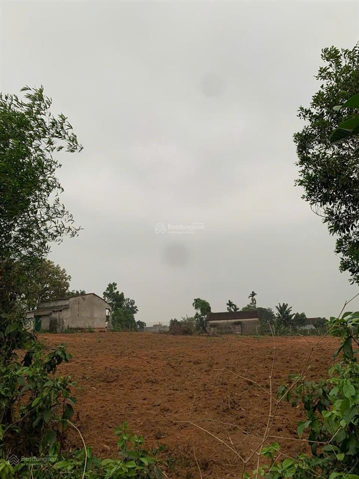 Chính chủ gửi bán, 2396m2 có 1258m2 thổ cư tại lạc sơn, hòa bình