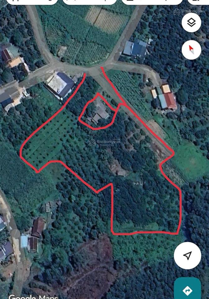 Cần bán 7000 mét 400tc con lại cây lâu năm, tại tân lạc, hòa bình.