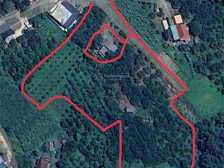 Cần bán 7000 mét 400tc con lại cây lâu năm, tại tân lạc, hòa bình.