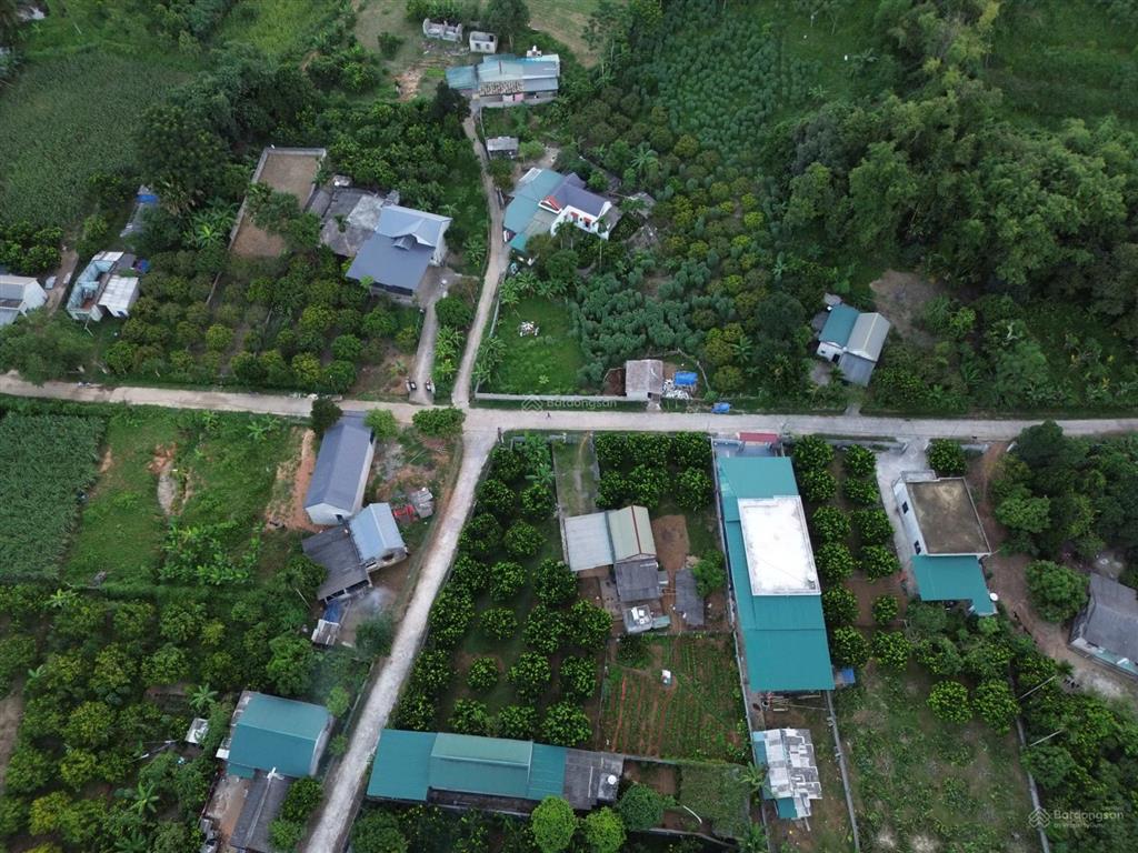 Cần bán 7000 mét 400tc con lại cây lâu năm, tại tân lạc, hòa bình.