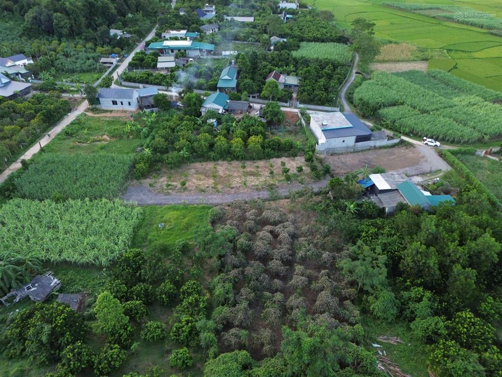 Cần bán 7000 mét 400tc con lại cây lâu năm, tại tân lạc, hòa bình.