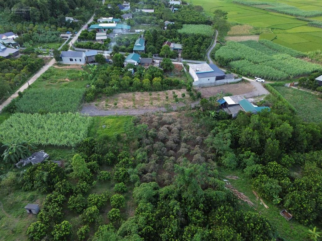 Cần bán 7000 mét 400tc con lại cây lâu năm, tại tân lạc, hòa bình.