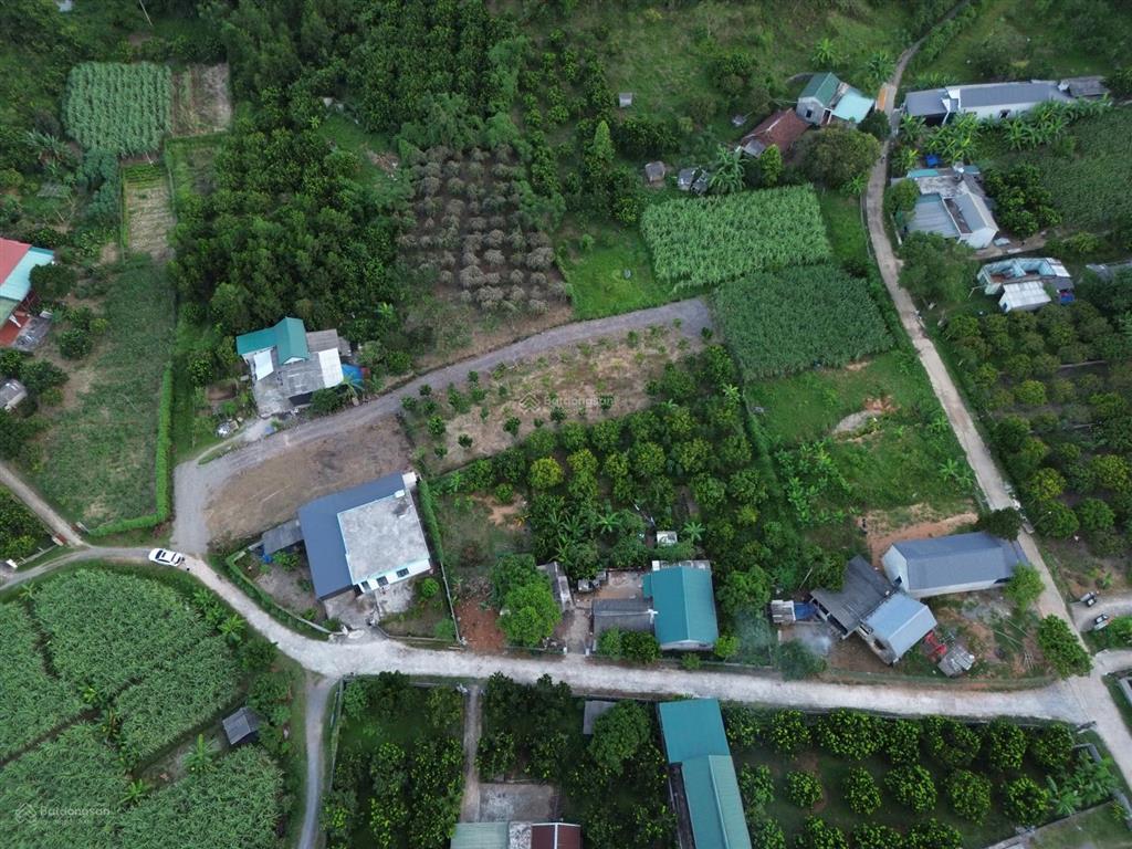 Cần bán 7000 mét 400tc con lại cây lâu năm, tại tân lạc, hòa bình.