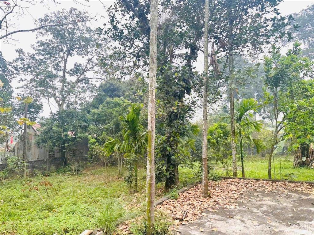 Đất săn hàng hiếm dt 2300m² lưng tựa núi, view sân golf giá rẻ không tưởng!